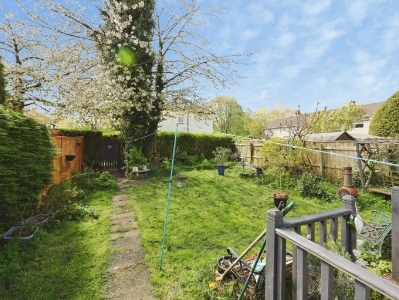 Picture 15